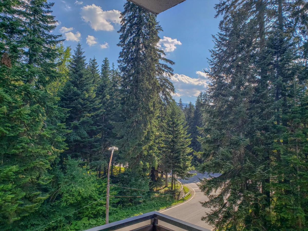 Lovely Borovets Apartment Exteriör bild
